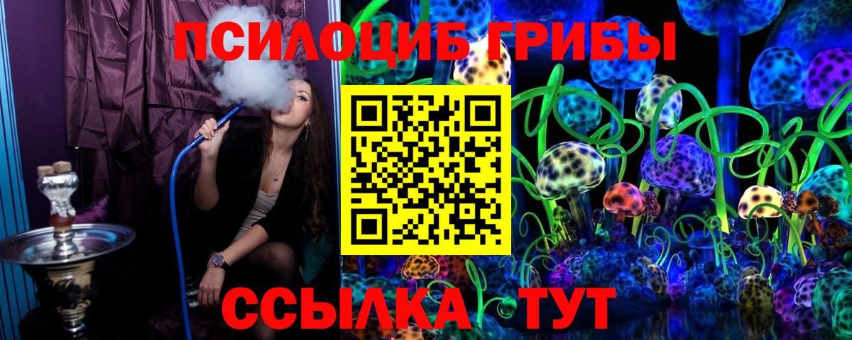 как найти   Галлюциногенные грибы Psilocybine cubensis  Вход с VPN  Десногорск 
